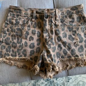 Cheetah Shorts
